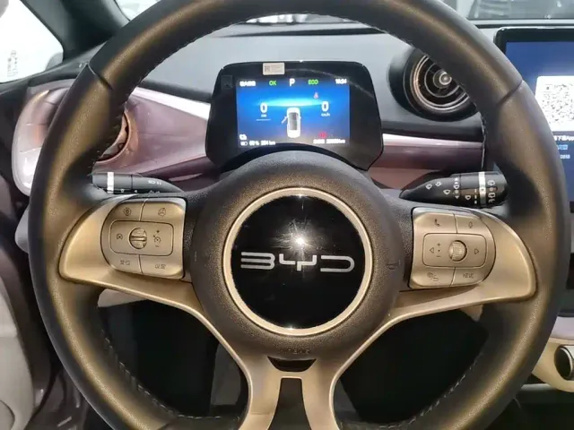 BYD Dolphin — Фото автомобиля 10