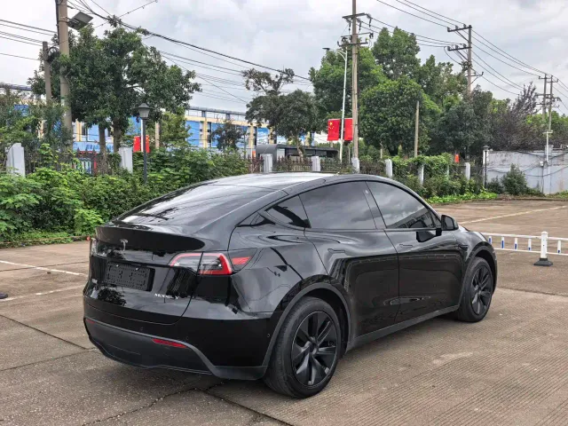 Tesla Model Y — Фото автомобиля 6