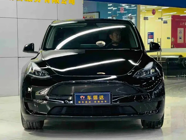 Tesla Model Y — Фото автомобиля 2