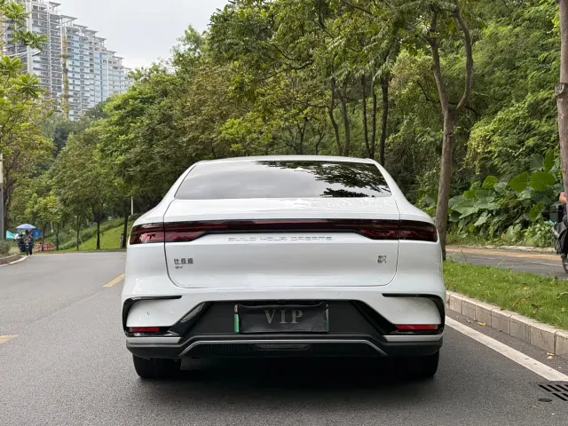 BYD Han — Фото автомобиля 11