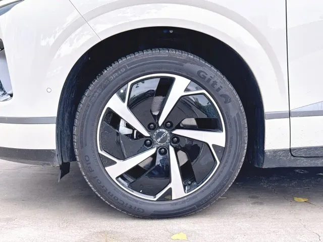 BYD Sealion 06 — Фото автомобиля 3