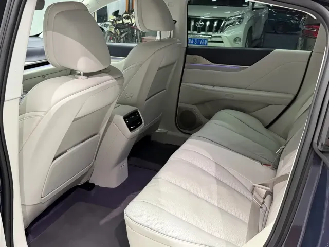 Buick Electra L7 — Фото автомобиля 20
