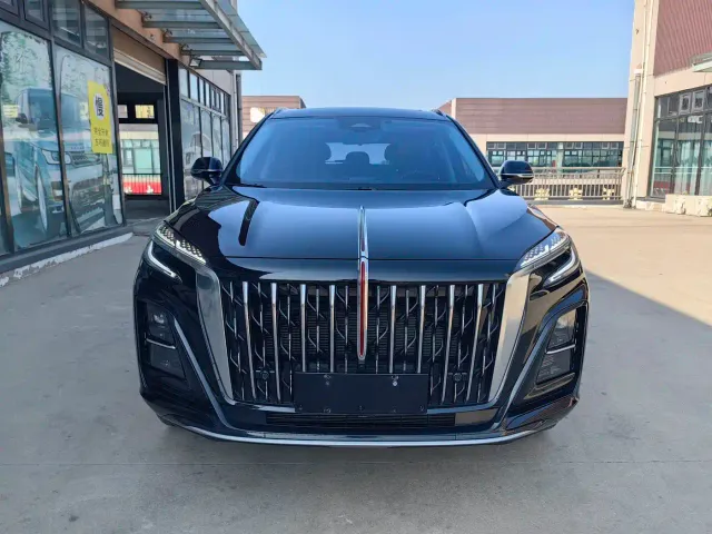 Hongqi Hongqi HS3 PHEV 2025 125km Jingwei 2 Million Commemorative Edition — Фото автомобиля 3