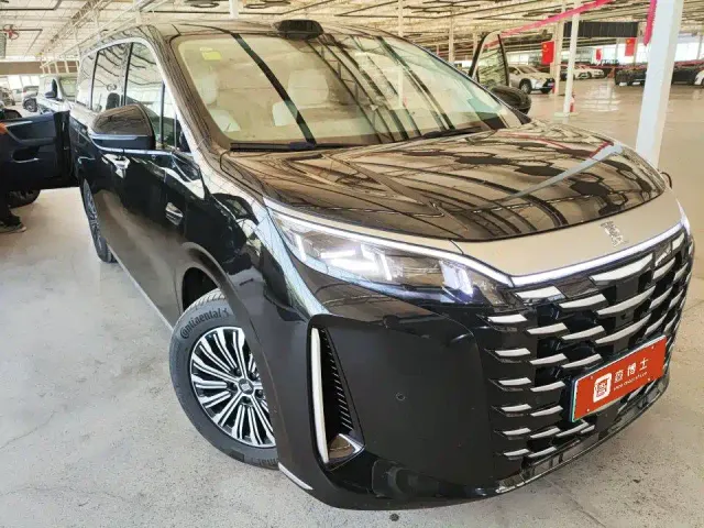 BYD Xia — Фото автомобиля 2