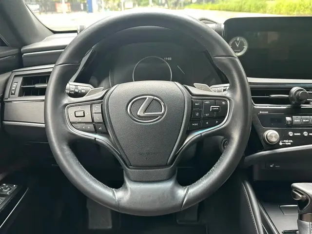 Lexus Lexus ES 2023 200 Excellence Edition — Фото автомобиля 13