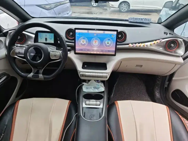 BYD Dolphin — Фото автомобиля 12