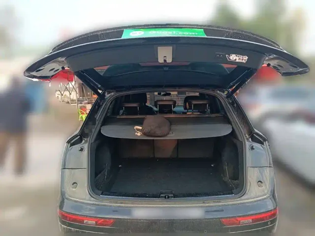 Audi Q5L — Фото автомобиля 15