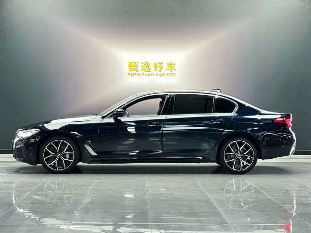 BMW 5 Series — Фото автомобиля 8