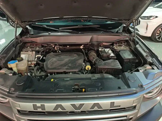 Haval Big Dog — Фото автомобиля 19