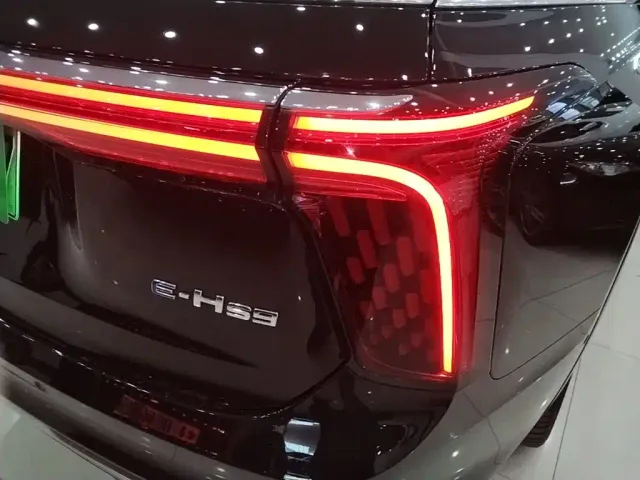 Hongqi E-HS9 — Фото автомобиля 7