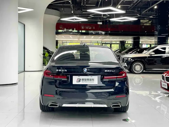 BMW 5 Series — Фото автомобиля 16