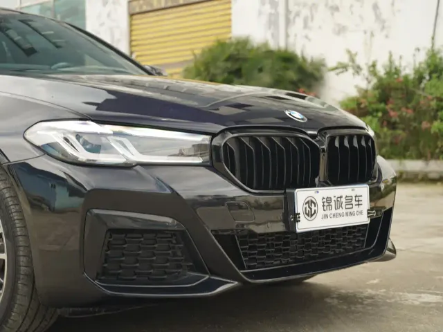 BMW 5 Series — Фото автомобиля 9