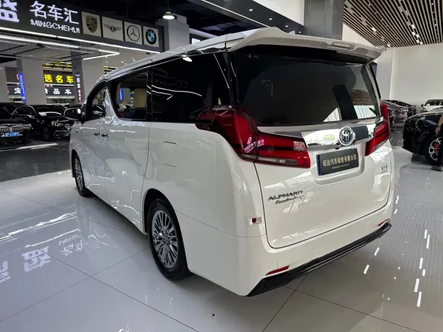 Toyota Alphard — Фото автомобиля 29