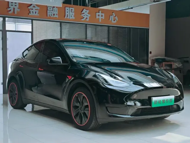 Tesla Model Y — Фото автомобиля 2