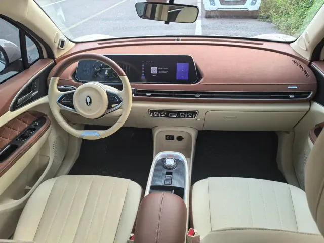Ora Ora Good Cat 2022 400km Standard Range Premium LFP — Фото автомобиля 8