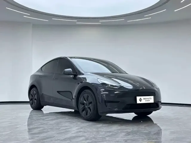 Tesla Model Y — Фото автомобиля 7