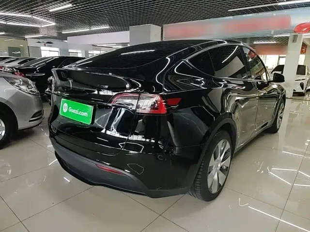 Tesla Model Y — Фото автомобиля 4
