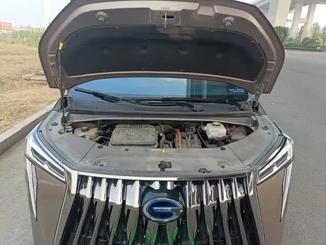 GAC Trumpchi M8 — Фото автомобиля 19
