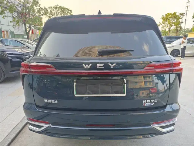 Wey Lanshan — Фото автомобиля 4