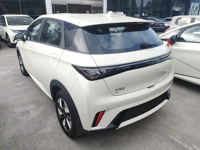 BYD Dolphin — Фото автомобиля 4