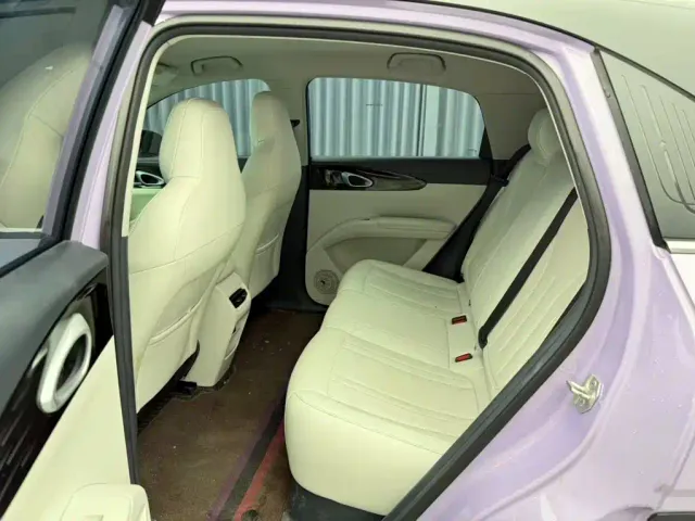 Geely Starry Wish — Фото автомобиля 9