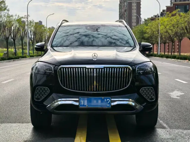 Mercedes-Benz GLS-Class — Фото автомобиля 2