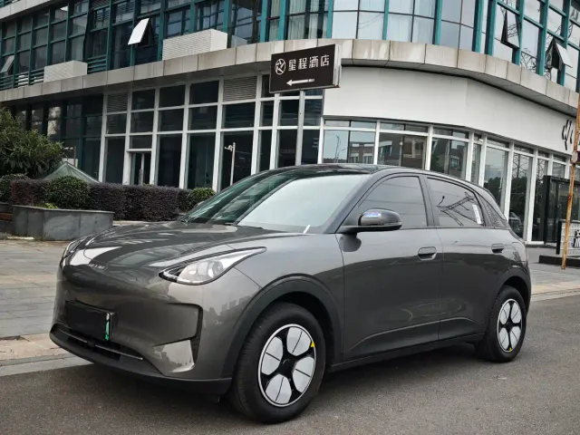 Фотография автомобиля — Geely Starry Wish