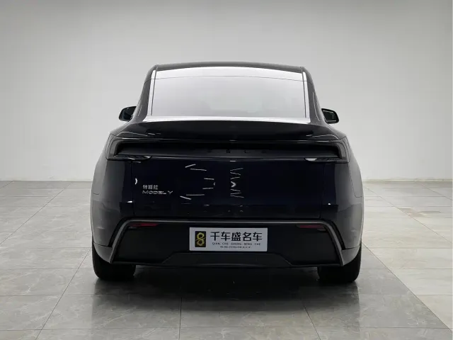 Tesla Model Y — Фото автомобиля 5