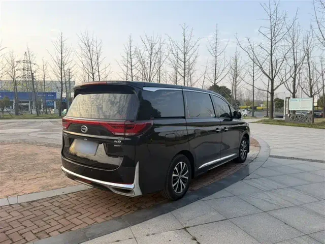 GAC Trumpchi M8 — Фото автомобиля 21