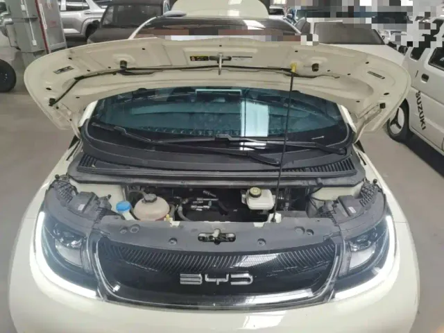 BYD Dolphin — Фото автомобиля 19