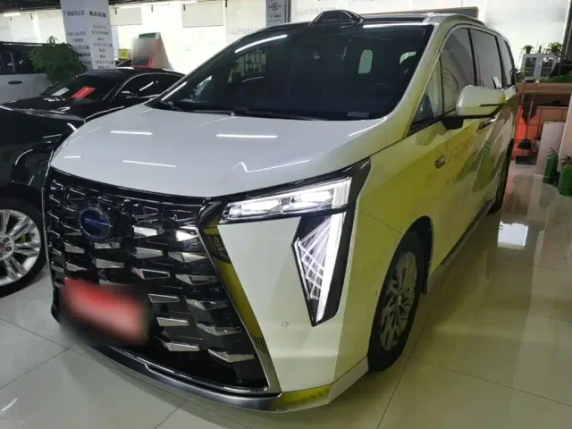 Фотография автомобиля — GAC Trumpchi Xiangwang M8