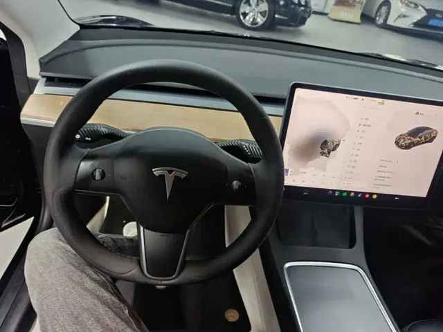 Tesla Model 3 — Фото автомобиля 10