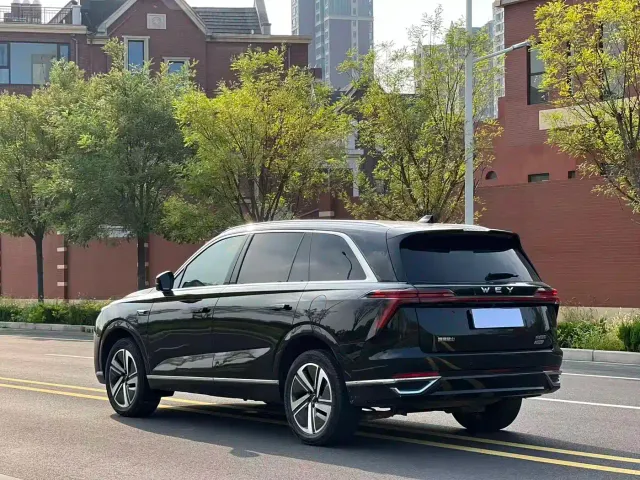 Wey Lanshan — Фото автомобиля 9