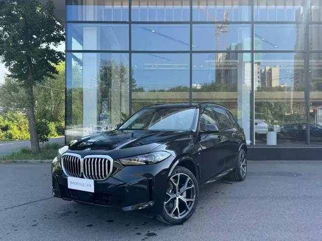 BMW X5 — Фото автомобиля 10