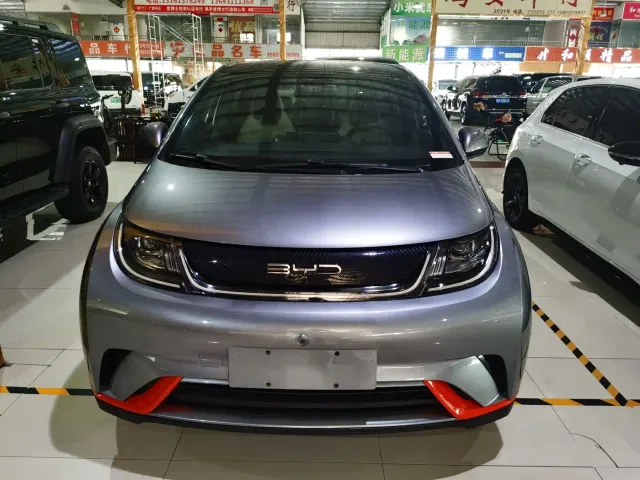 BYD Dolphin — Фото автомобиля 2
