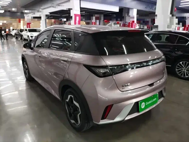 BYD Dolphin — Фото автомобиля 22