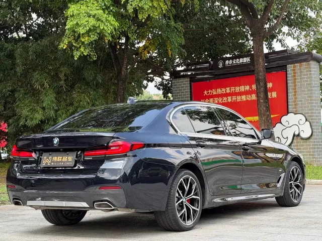 BMW 5 Series — Фото автомобиля 6
