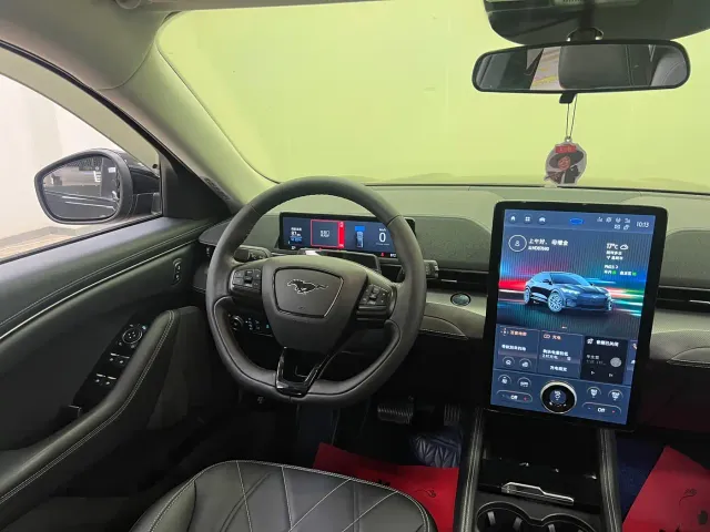 Ford Mustang Mach-E — Фото автомобиля 21