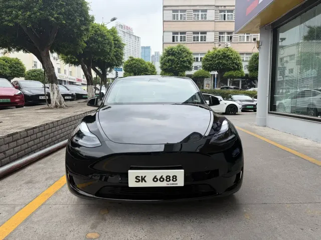 Tesla Model Y — Фото автомобиля 2
