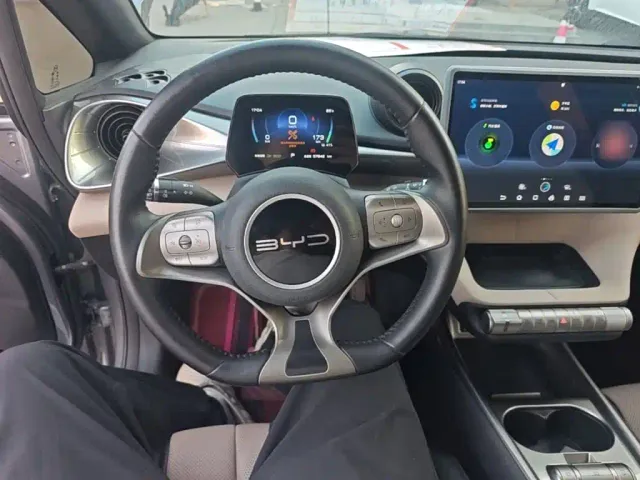 BYD Dolphin — Фото автомобиля 10