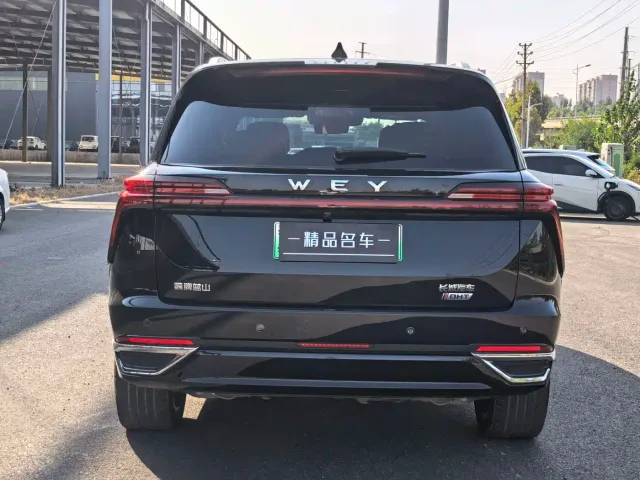 Wey Lanshan — Фото автомобиля 12