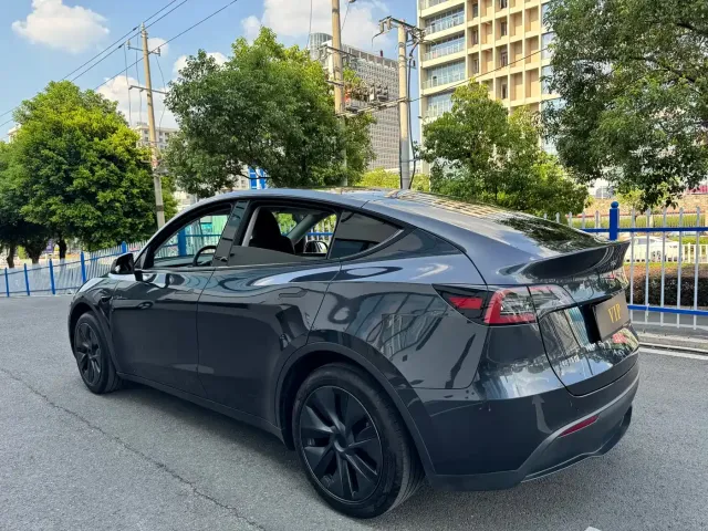 Tesla Model Y — Фото автомобиля 4