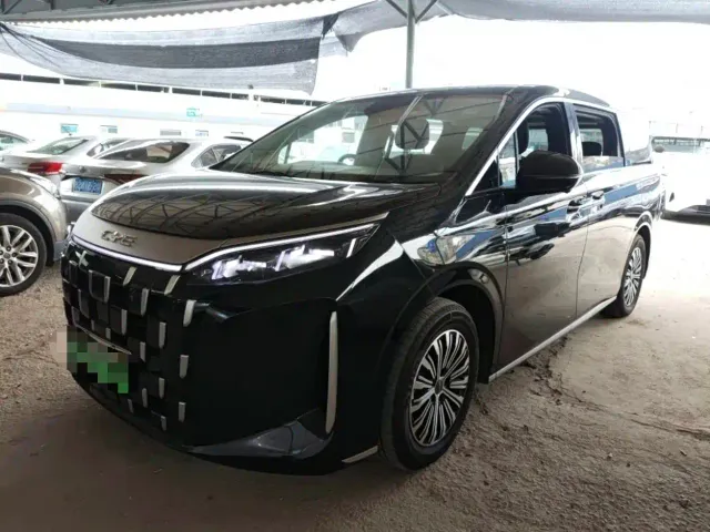 BYD M9 — Фото автомобиля 7