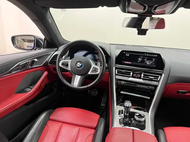 BMW 8 Series — Фото автомобиля 24