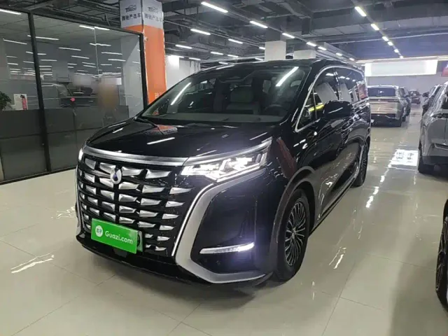 Фотография автомобиля — Denza D9