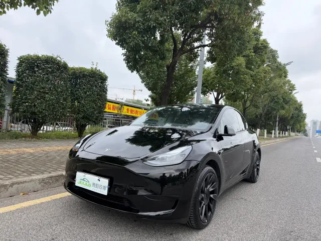 Tesla Model Y — Фото автомобиля 2