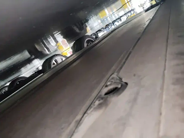 Tesla Model Y — Фото автомобиля 21