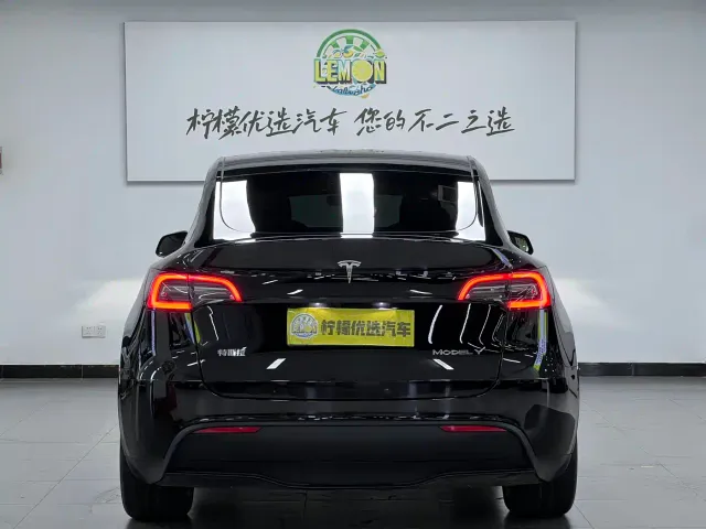 Tesla Model Y — Фото автомобиля 6