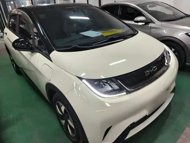 BYD Dolphin — Фото автомобиля 3