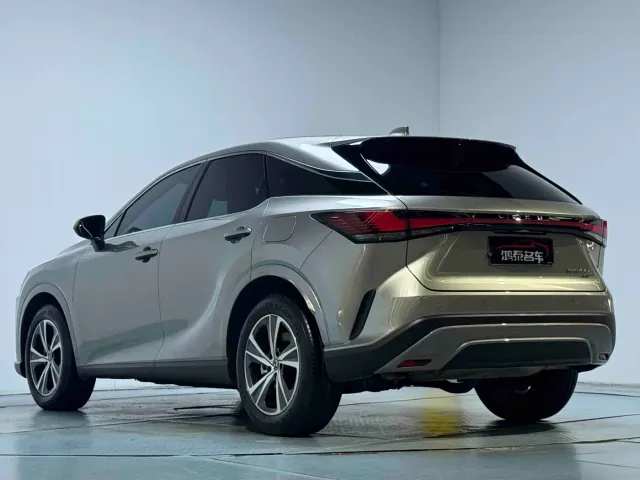 Lexus RX — Фото автомобиля 15